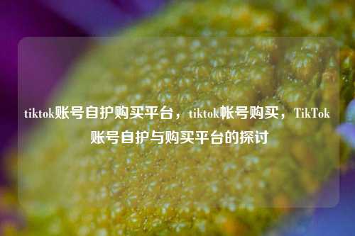 tiktok账号自护购买平台，tiktok帐号购买，TikTok 账号自护与购买平台的探讨