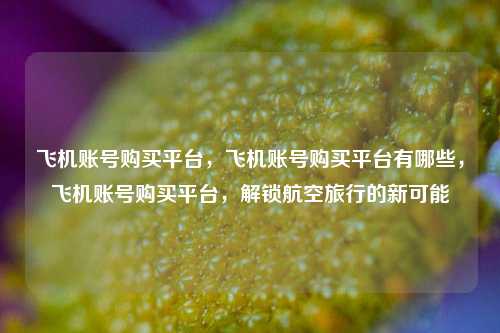飞机账号购买平台，飞机账号购买平台有哪些，飞机账号购买平台，解锁航空旅行的新可能