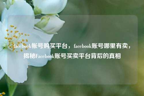 facebook帐号购买平台，facebook账号哪里有卖，揭秘Facebook账号买卖平台背后的真相