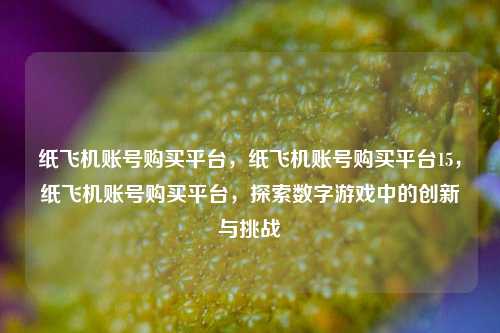 纸飞机账号购买平台，纸飞机账号购买平台15，纸飞机账号购买平台，探索数字游戏中的创新与挑战