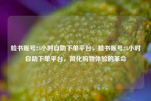 脸书账号24小时自助下单平台，脸书账号24小时自助下单平台，简化购物体验的革命