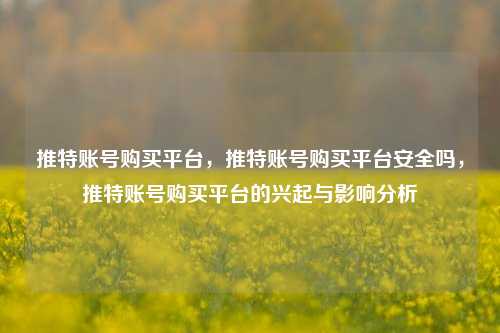 推特账号购买平台，推特账号购买平台安全吗，推特账号购买平台的兴起与影响分析