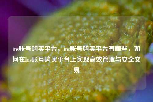 ins账号购买平台，ins账号购买平台有哪些，如何在Ins账号购买平台上实现高效管理与安全交易