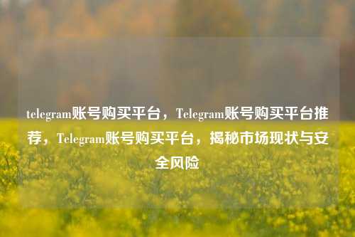 telegram账号购买平台，Telegram账号购买平台推荐，Telegram账号购买平台，揭秘市场现状与安全风险