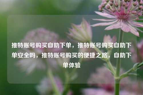 推特账号购买自助下单，推特账号购买自助下单安全吗，推特账号购买的便捷之路，自助下单体验