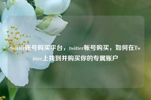 twitter账号购买平台，twitter帐号购买，如何在Twitter上找到并购买你的专属账户
