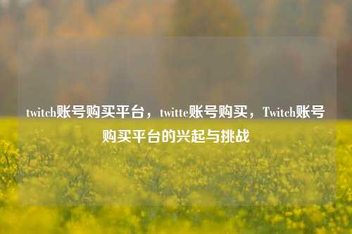 twitch账号购买平台，twitte账号购买，Twitch账号购买平台的兴起与挑战