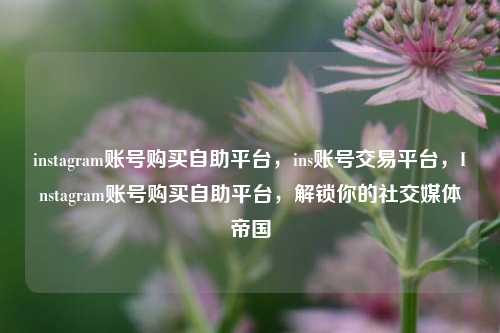 instagram账号购买自助平台，ins账号交易平台，Instagram账号购买自助平台，解锁你的社交媒体帝国