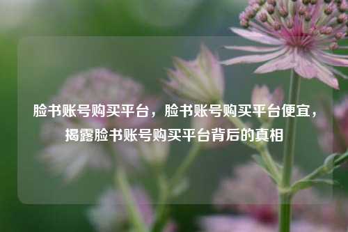 脸书账号购买平台，脸书账号购买平台便宜，揭露脸书账号购买平台背后的真相