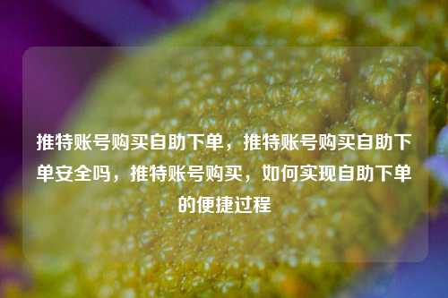 推特账号购买自助下单，推特账号购买自助下单安全吗，推特账号购买，如何实现自助下单的便捷过程