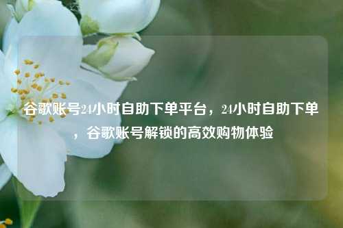 谷歌账号24小时自助下单平台，24小时自助下单，谷歌账号解锁的高效购物体验