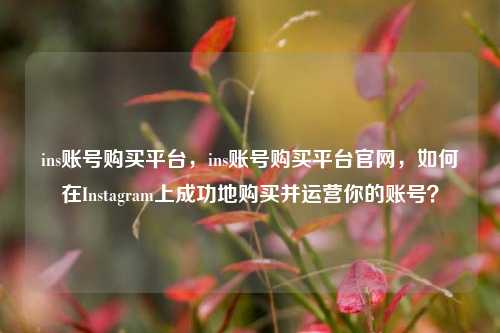 ins账号购买平台，ins账号购买平台官网，如何在Instagram上成功地购买并运营你的账号？