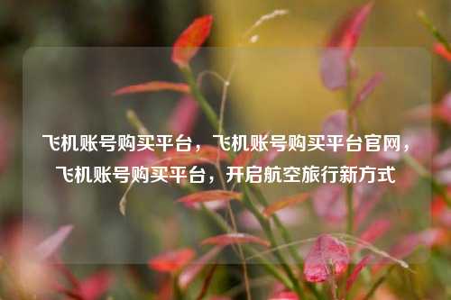 飞机账号购买平台，飞机账号购买平台官网，飞机账号购买平台，开启航空旅行新方式