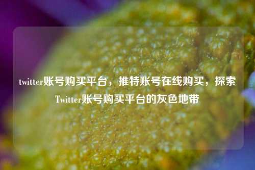 twitter账号购买平台，推特账号在线购买，探索Twitter账号购买平台的灰色地带