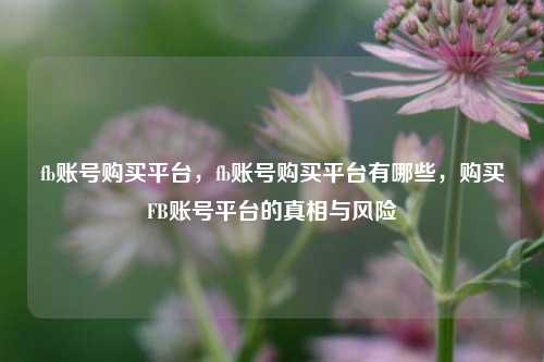 fb账号购买平台，fb账号购买平台有哪些，购买FB账号平台的真相与风险