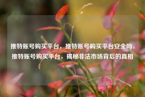 推特账号购买平台，推特账号购买平台安全吗，推特账号购买平台，揭秘非法市场背后的真相