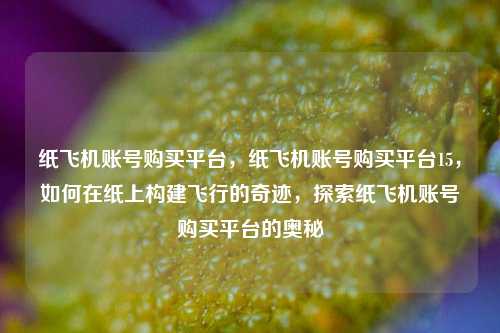 纸飞机账号购买平台，纸飞机账号购买平台15，如何在纸上构建飞行的奇迹，探索纸飞机账号购买平台的奥秘