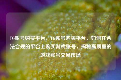 TG账号购买平台，TG账号购买平台，如何在合法合规的平台上购买游戏账号，揭秘高质量的游戏账号交易市场