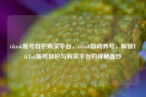 tiktok账号自护购买平台，tiktok自动养号，解锁TikTok账号自护与购买平台的神秘面纱