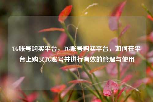 TG账号购买平台	，TG账号购买平台，如何在平台上购买TG账号并进行有效的管理与使用  第1张