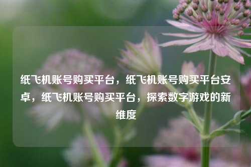 纸飞机账号购买平台，纸飞机账号购买平台安卓，纸飞机账号购买平台，探索数字游戏的新维度