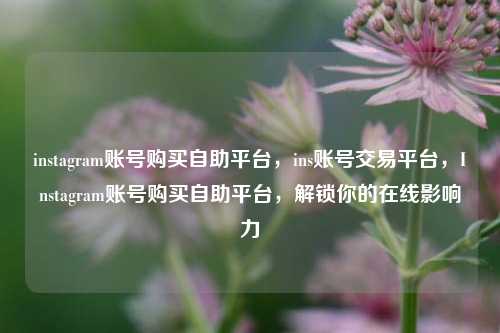 instagram账号购买自助平台，ins账号交易平台，Instagram账号购买自助平台，解锁你的在线影响力