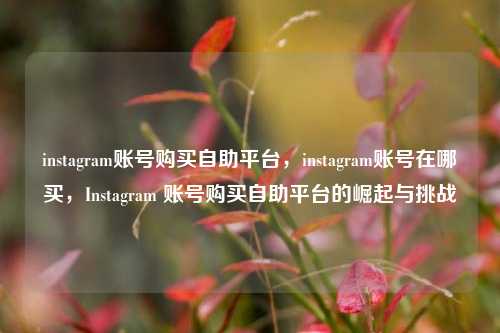 instagram账号购买自助平台，instagram账号在哪买，Instagram 账号购买自助平台的崛起与挑战