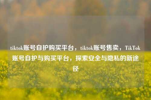 tiktok账号自护购买平台，tiktok账号售卖，TikTok账号自护与购买平台，探索安全与隐私的新途径