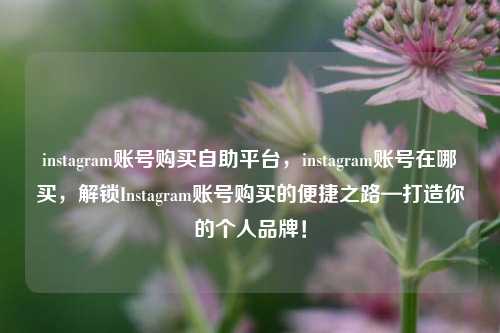 instagram账号购买自助平台，instagram账号在哪买，解锁Instagram账号购买的便捷之路—打造你的个人品牌！