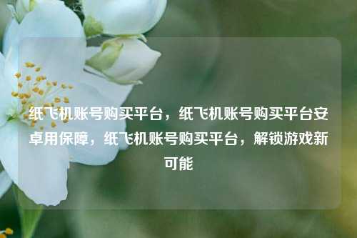 纸飞机账号购买平台，纸飞机账号购买平台安卓用保障，纸飞机账号购买平台，解锁游戏新可能