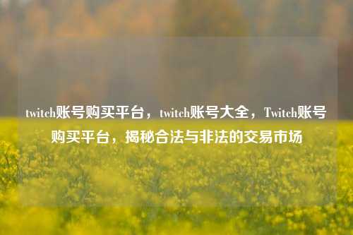 twitch账号购买平台，twitch账号大全，Twitch账号购买平台，揭秘合法与非法的交易市场