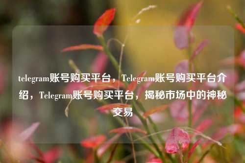 telegram账号购买平台，Telegram账号购买平台介绍，Telegram账号购买平台，揭秘市场中的神秘交易
