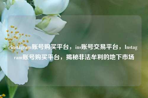 instagram账号购买平台，ins账号交易平台，Instagram账号购买平台，揭秘非法牟利的地下市场