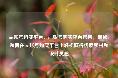 ins账号购买平台，ins账号购买平台官网，揭秘，如何在Ins账号购买平台上轻松获得优质素材和设计灵感