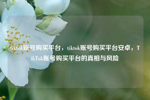 tiktok账号购买平台，tiktok账号购买平台安卓，TikTok账号购买平台的真相与风险