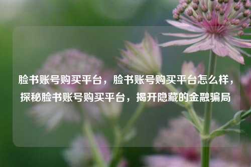 脸书账号购买平台，脸书账号购买平台怎么样，探秘脸书账号购买平台，揭开隐藏的金融骗局