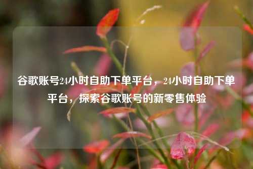 谷歌账号24小时自助下单平台，24小时自助下单平台，探索谷歌账号的新零售体验