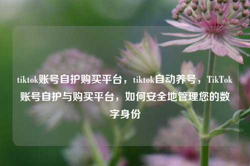 tiktok账号自护购买平台，tiktok自动养号，TikTok账号自护与购买平台，如何安全地管理您的数字身份