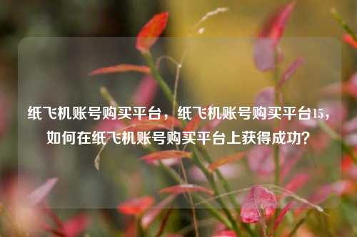 纸飞机账号购买平台，纸飞机账号购买平台15，如何在纸飞机账号购买平台上获得成功？