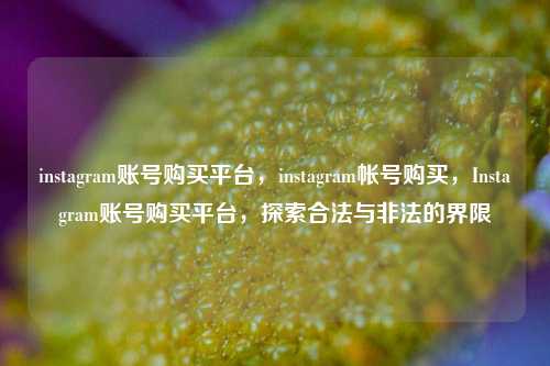 instagram账号购买平台，instagram帐号购买，Instagram账号购买平台，探索合法与非法的界限
