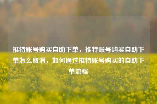 推特账号购买自助下单，推特账号购买自助下单怎么取消，如何通过推特账号购买的自助下单流程