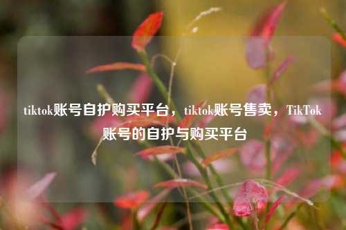 tiktok账号自护购买平台，tiktok账号售卖，TikTok 账号的自护与购买平台