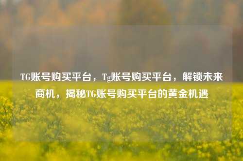 TG账号购买平台，Tg账号购买平台，解锁未来商机，揭秘TG账号购买平台的黄金机遇