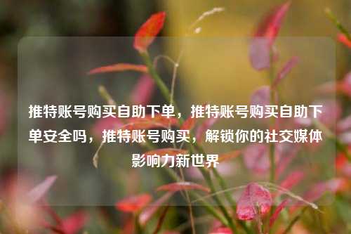推特账号购买自助下单，推特账号购买自助下单安全吗，推特账号购买，解锁你的社交媒体影响力新世界