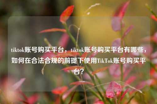 tiktok账号购买平台，tiktok账号购买平台有哪些，如何在合法合规的前提下使用TikTok账号购买平台？