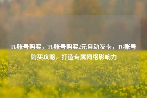 TG账号购买，TG账号购买2元自动发卡，TG账号购买攻略，打造专属网络影响力
