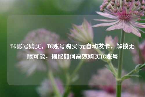 TG账号购买，TG账号购买2元自动发卡，解锁无限可能，揭秘如何高效购买TG账号