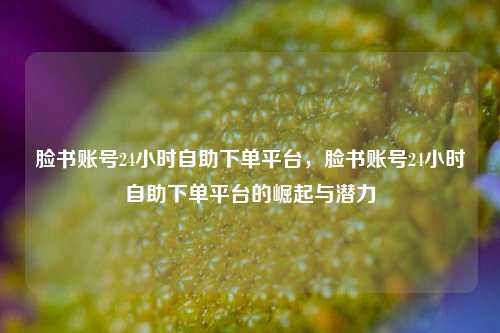 脸书账号24小时自助下单平台，脸书账号24小时自助下单平台的崛起与潜力  第1张