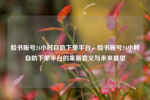 脸书账号24小时自助下单平台，脸书账号24小时自助下单平台的革新意义与未来展望