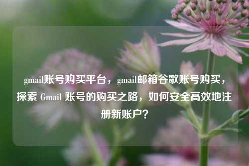 gmail账号购买平台，gmail邮箱谷歌账号购买，探索 Gmail 账号的购买之路，如何安全高效地注册新账户？